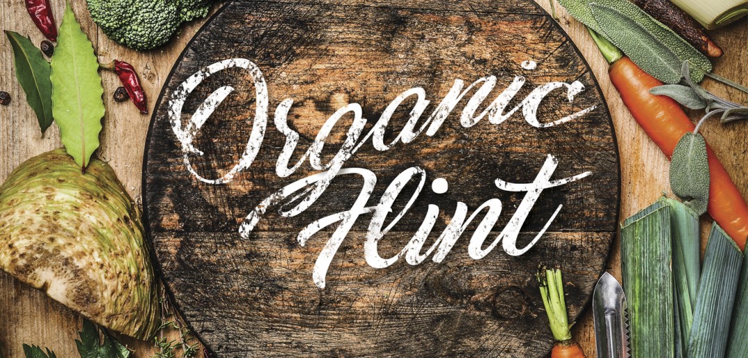 VICUSCHKA / Shutterstock.com