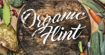 Organic Flint VICUSCHKA / Shutterstock.com