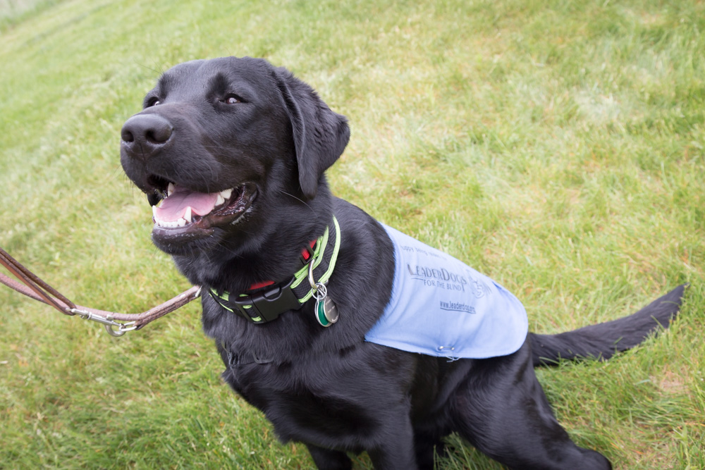 guidedogs-6