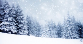 Holiday Fun in Greater Flint! NDTeam / Shutterstock.com