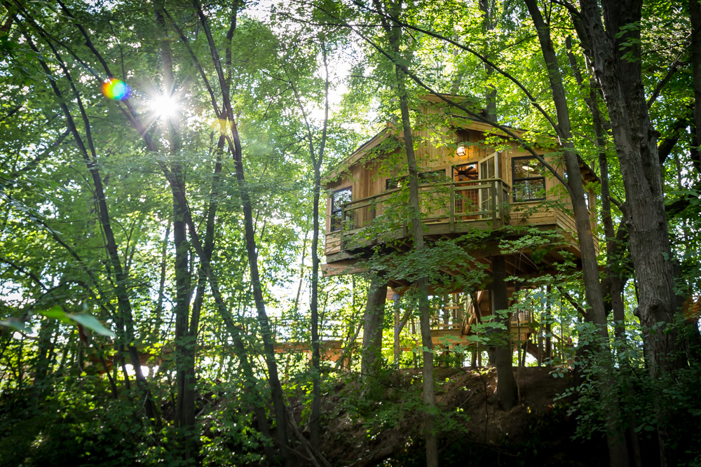 formartreehouse-5