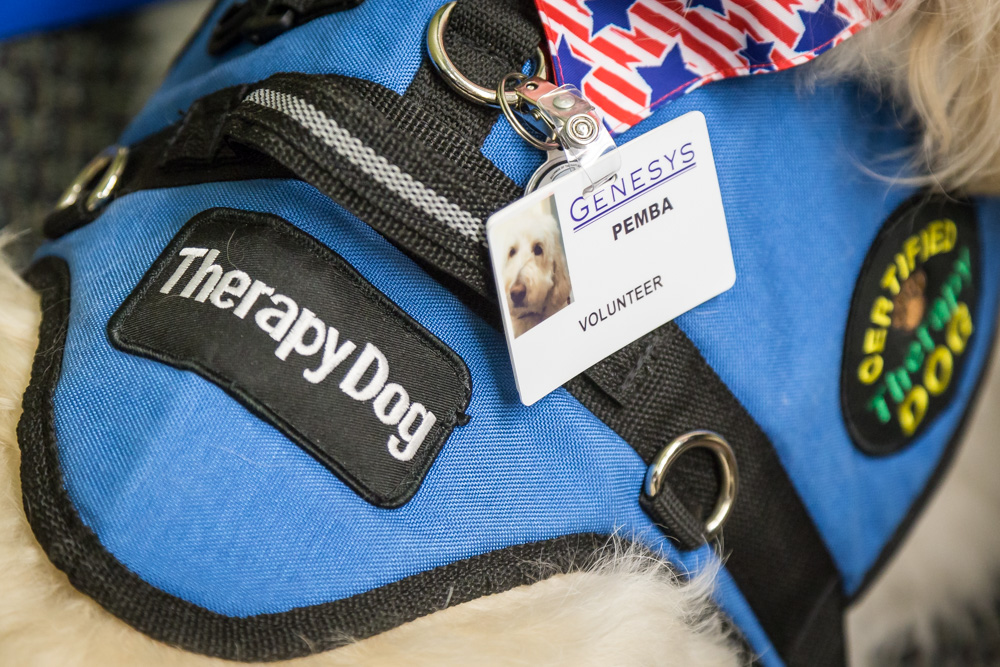 therapydogsgenesys-1