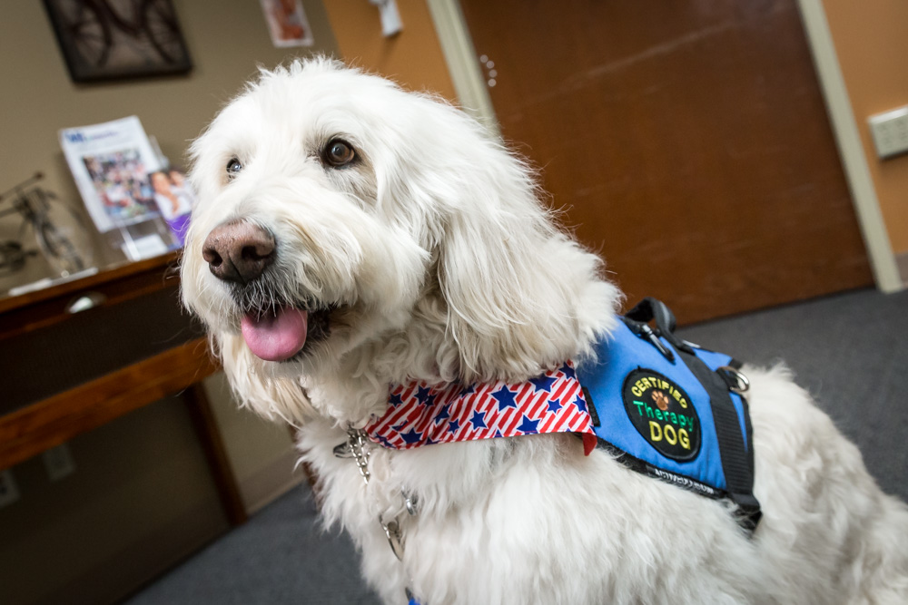 therapydogsgenesys-3