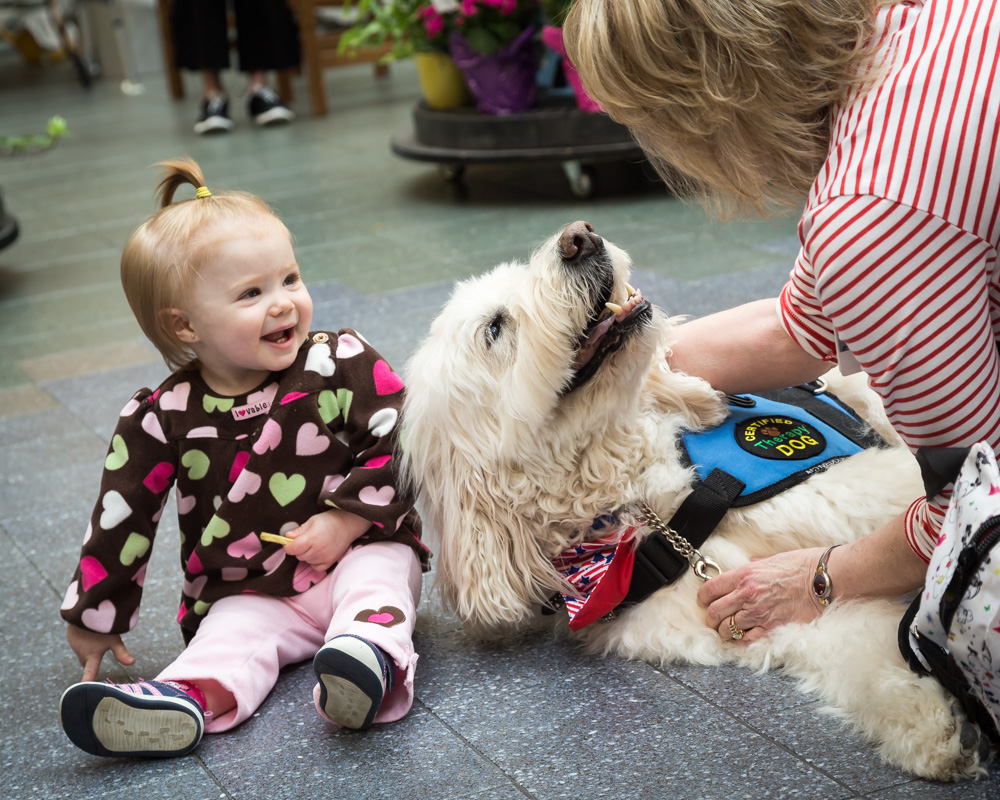 therapydogsgenesys-4