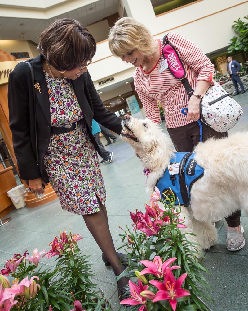 therapydogsgenesys-5
