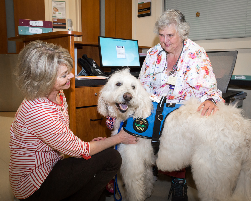 therapydogsgenesys-6