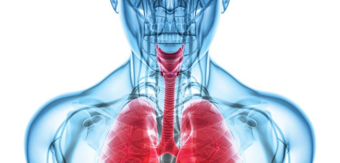yodiyim / Shutterstock.com
