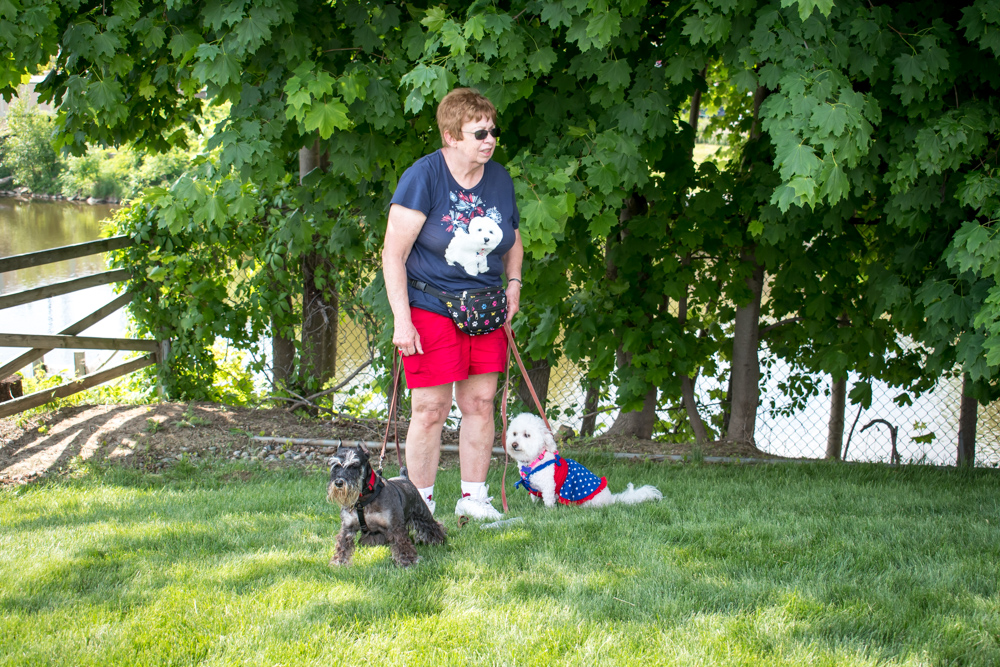 DOGBOWL-7231
