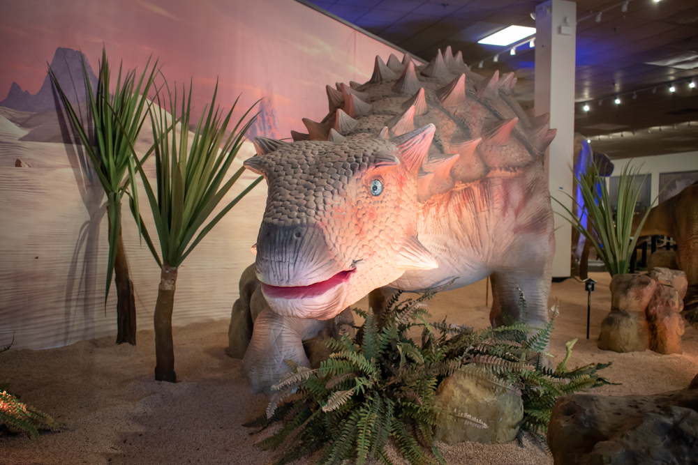 DINOS-1739