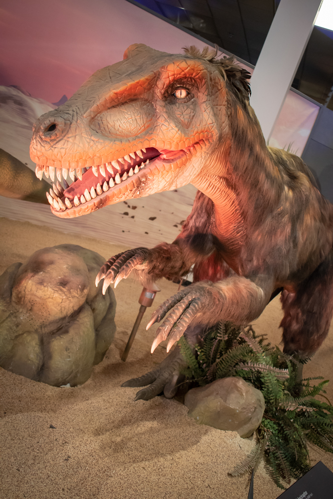 DINOS-1745