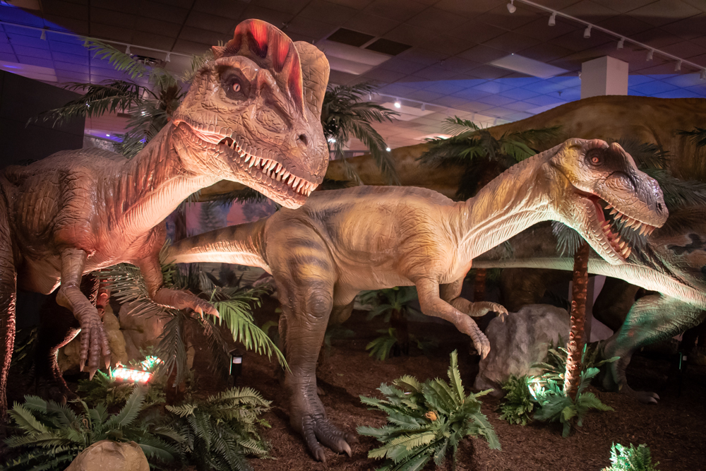 DINOS-1751