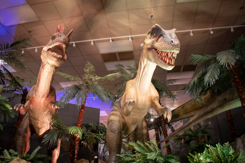 DINOS-1761