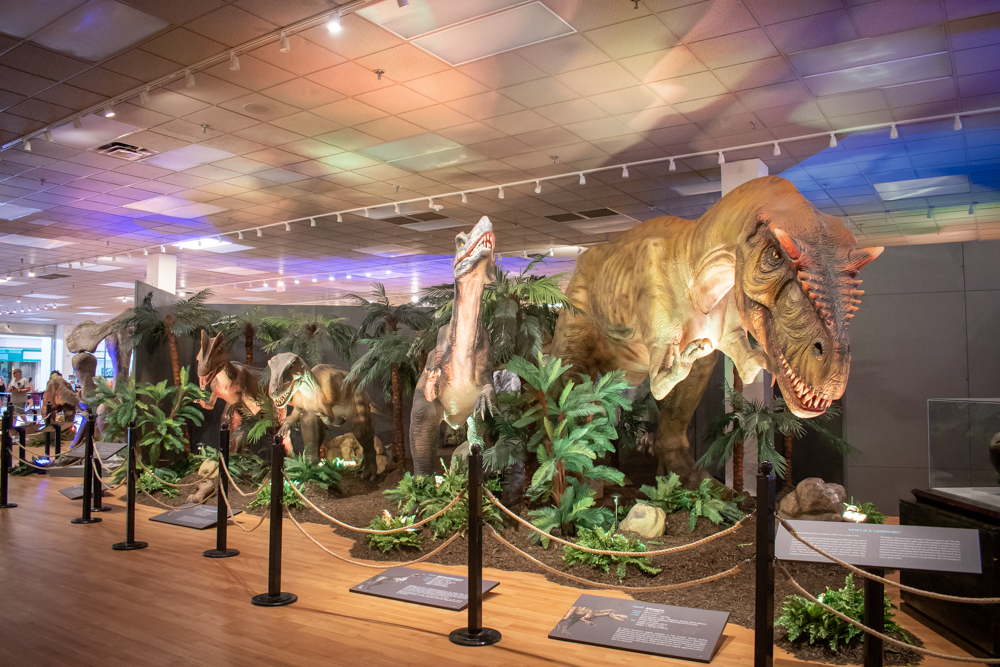 DINOS-1770