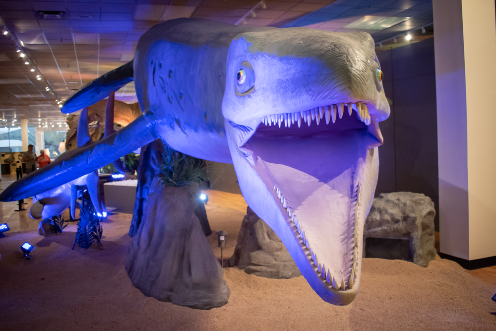 DINOS-1790