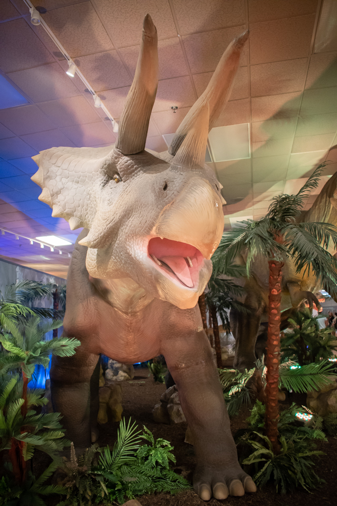 DINOS-1797