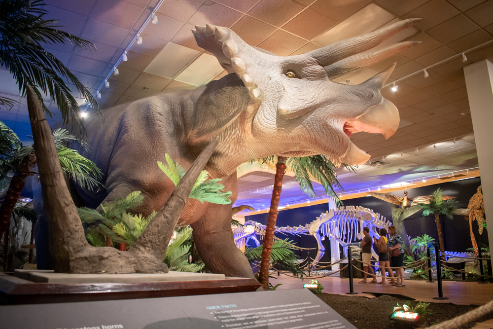 DINOS-1799
