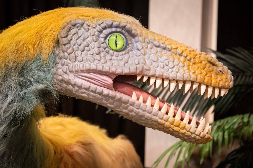 DINOS-1819