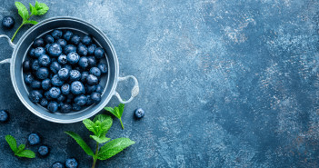 Blueberry Time! Sea Wave / Shutterstock.com