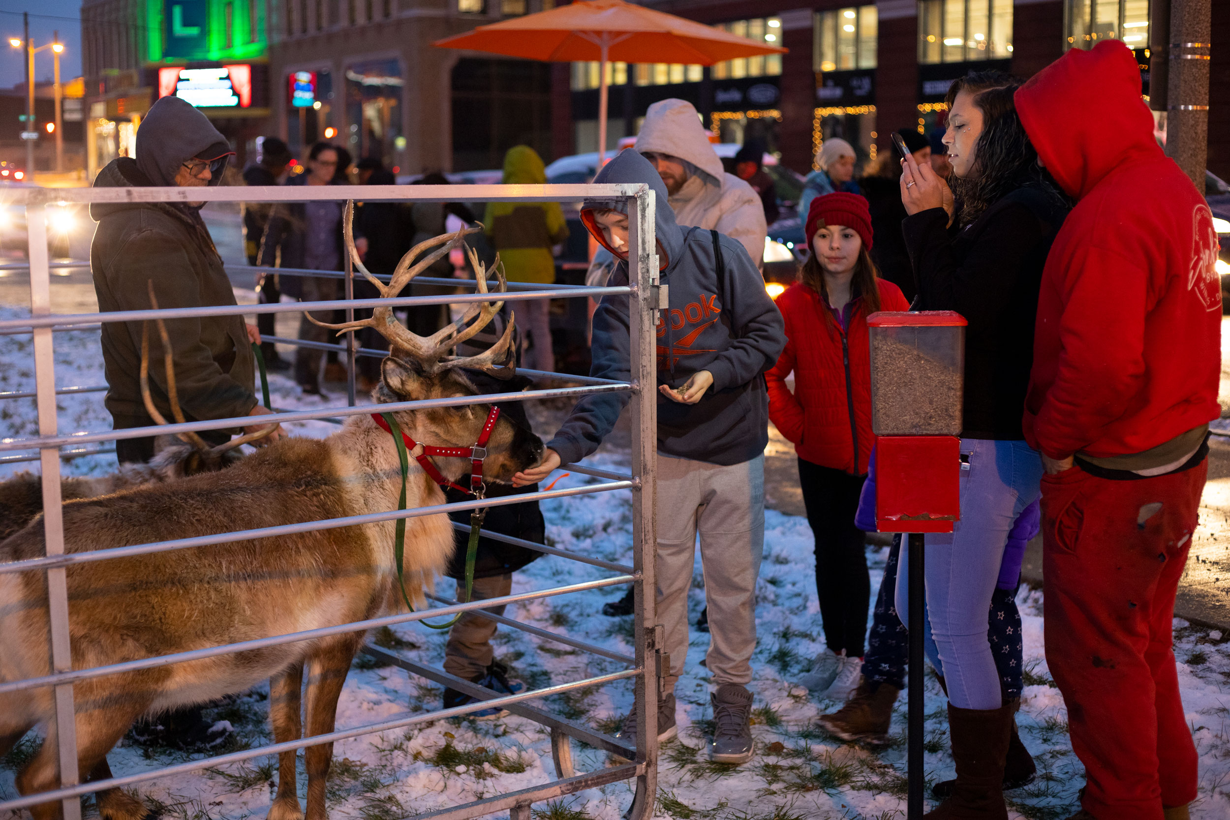 tree lighting_03
