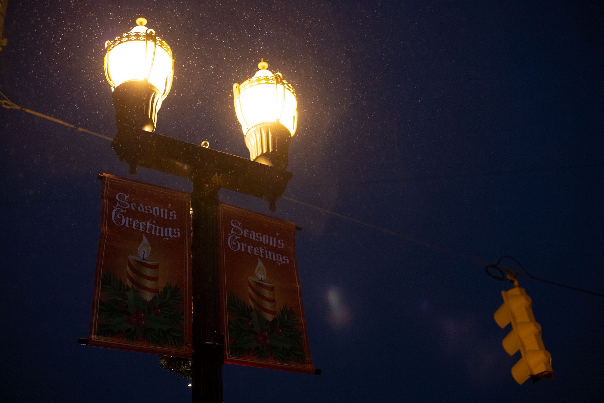 tree lighting_09