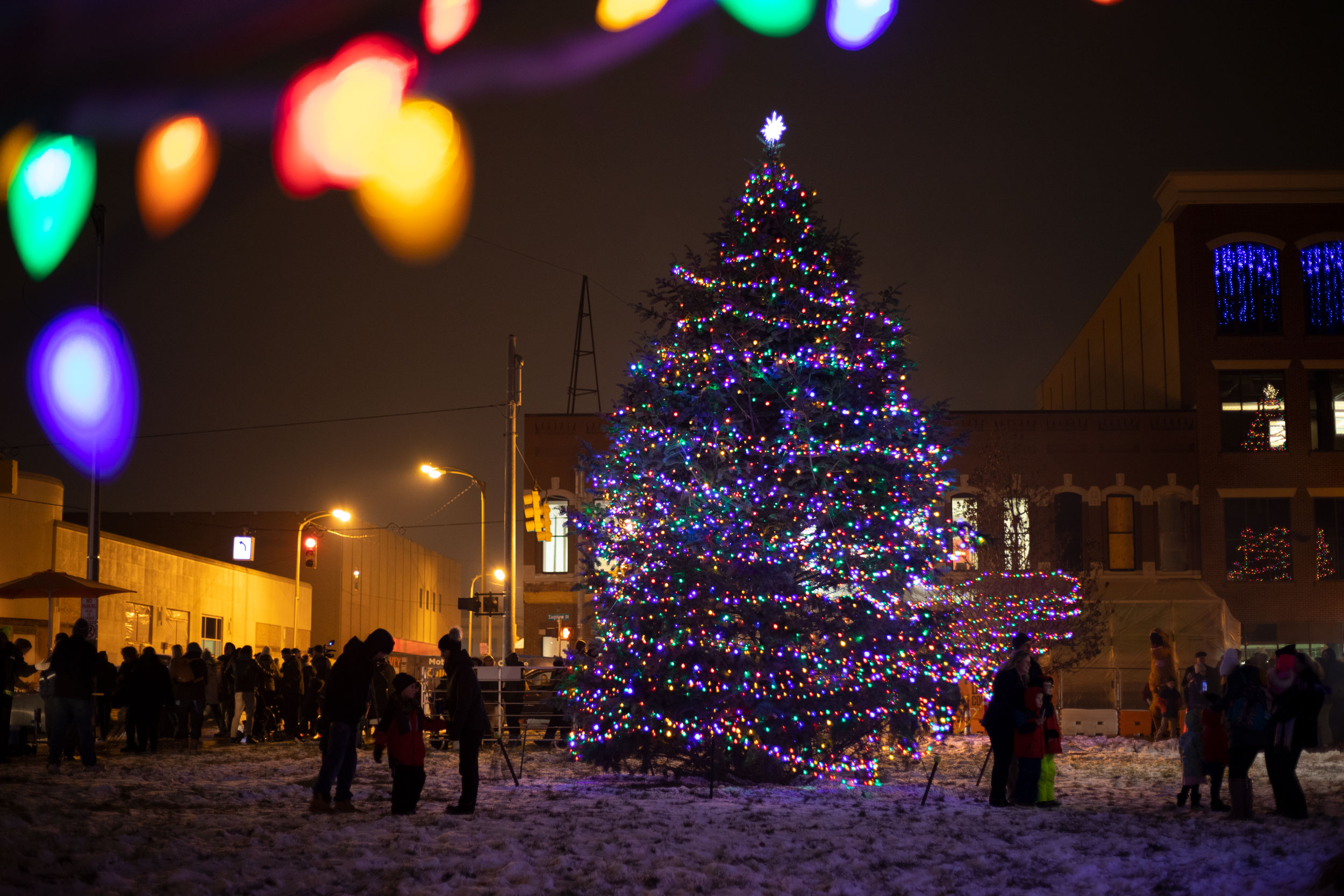 tree lighting_18
