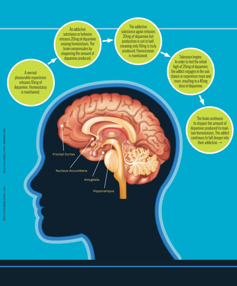 How Addiction Hijacks the Brain - My City Magazine