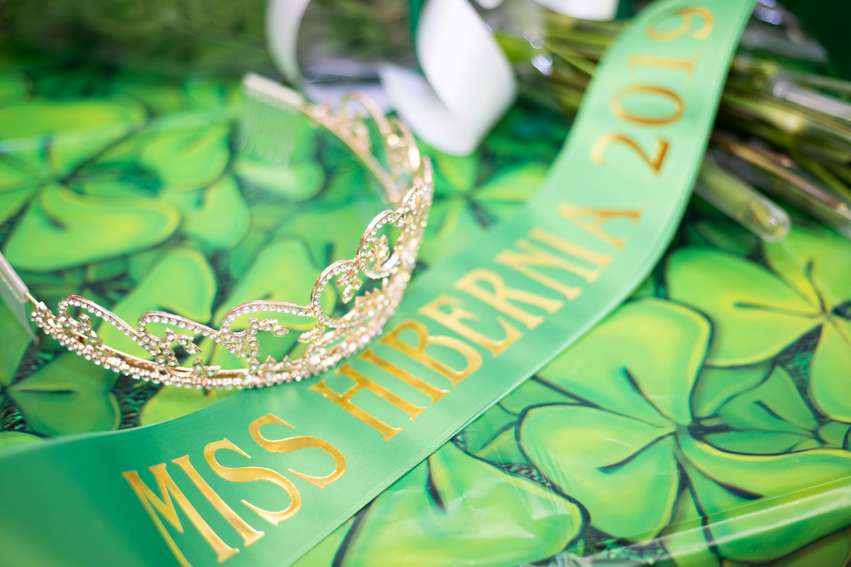 misshibernia_04