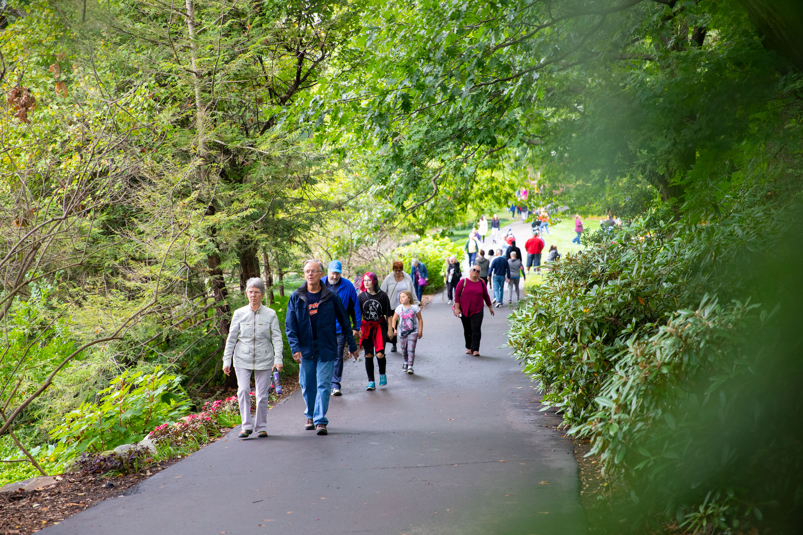 applewood-fall-harvest_06