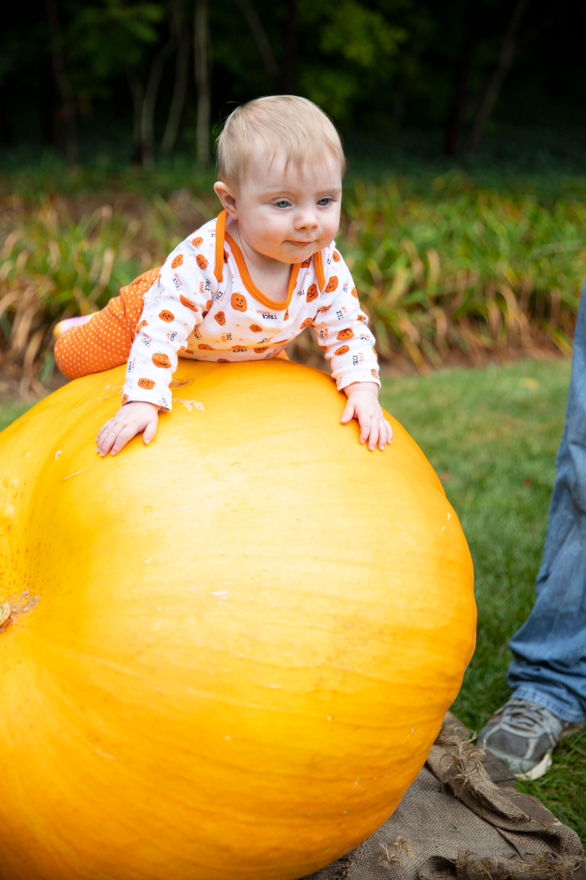 applewood-fall-harvest_08