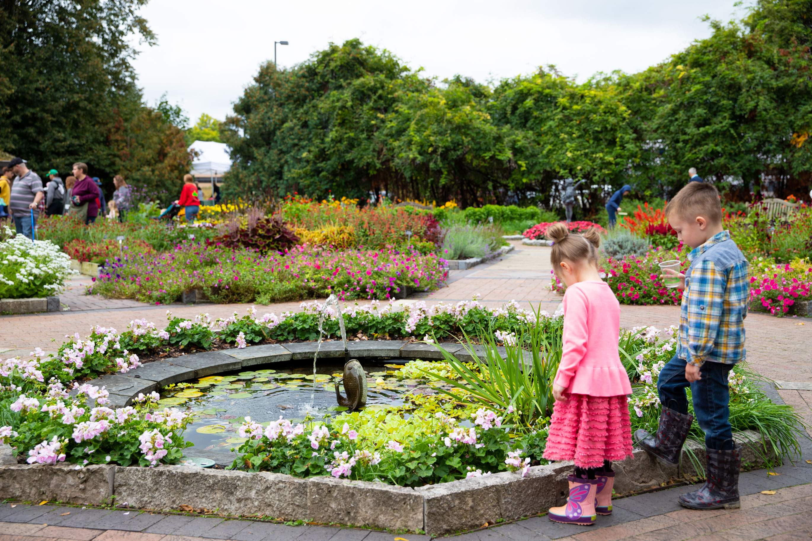 applewood-fall-harvest_12