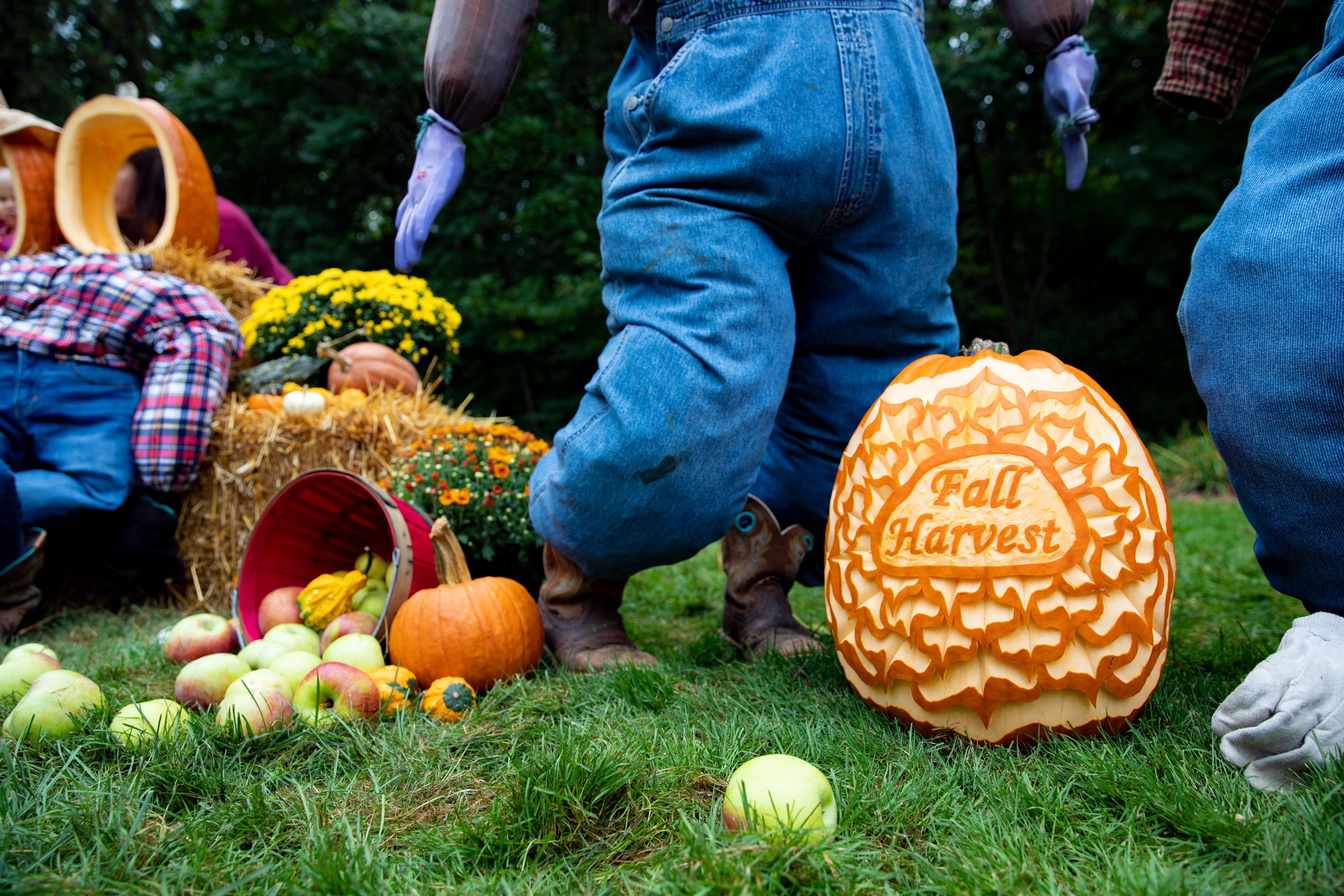 applewood-fall-harvest_19