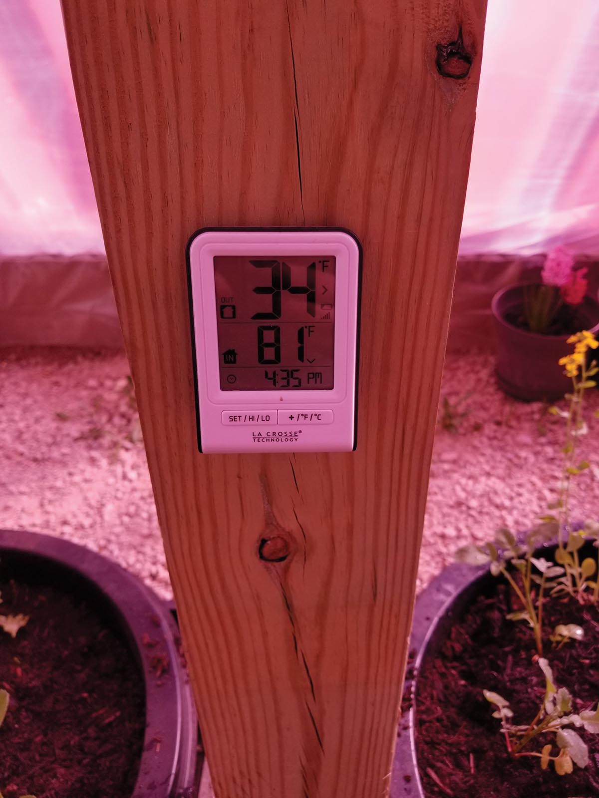 HandG-greenerhouse-04-2020-15