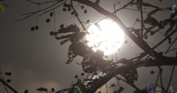 Full Moon Hike This Saturday at For-Mar Pannarai / stock.adobe.com
