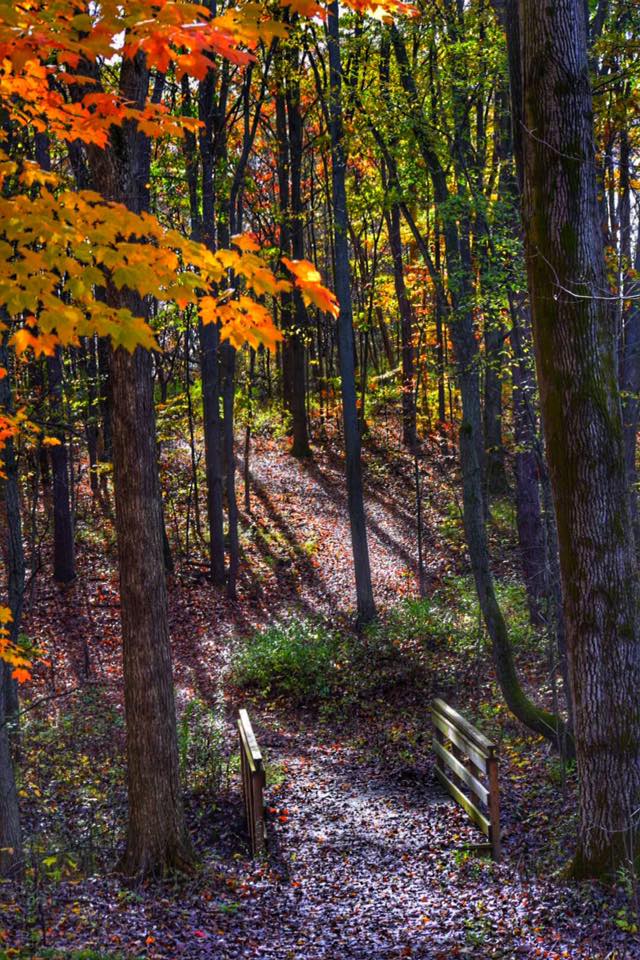 robertwilliamspark-010-082020