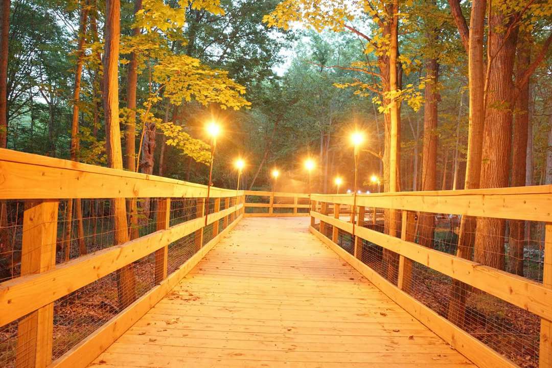 robertwilliamspark-011-082020