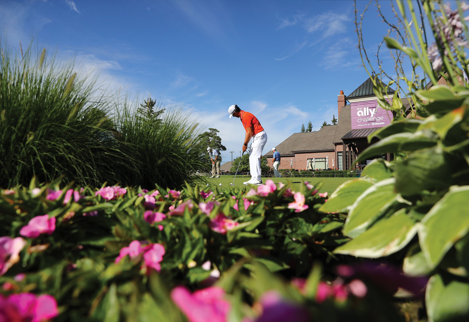 haps-allychallenge-2020-013