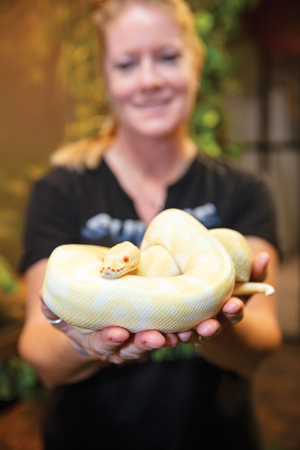 supesjungle-092020-06