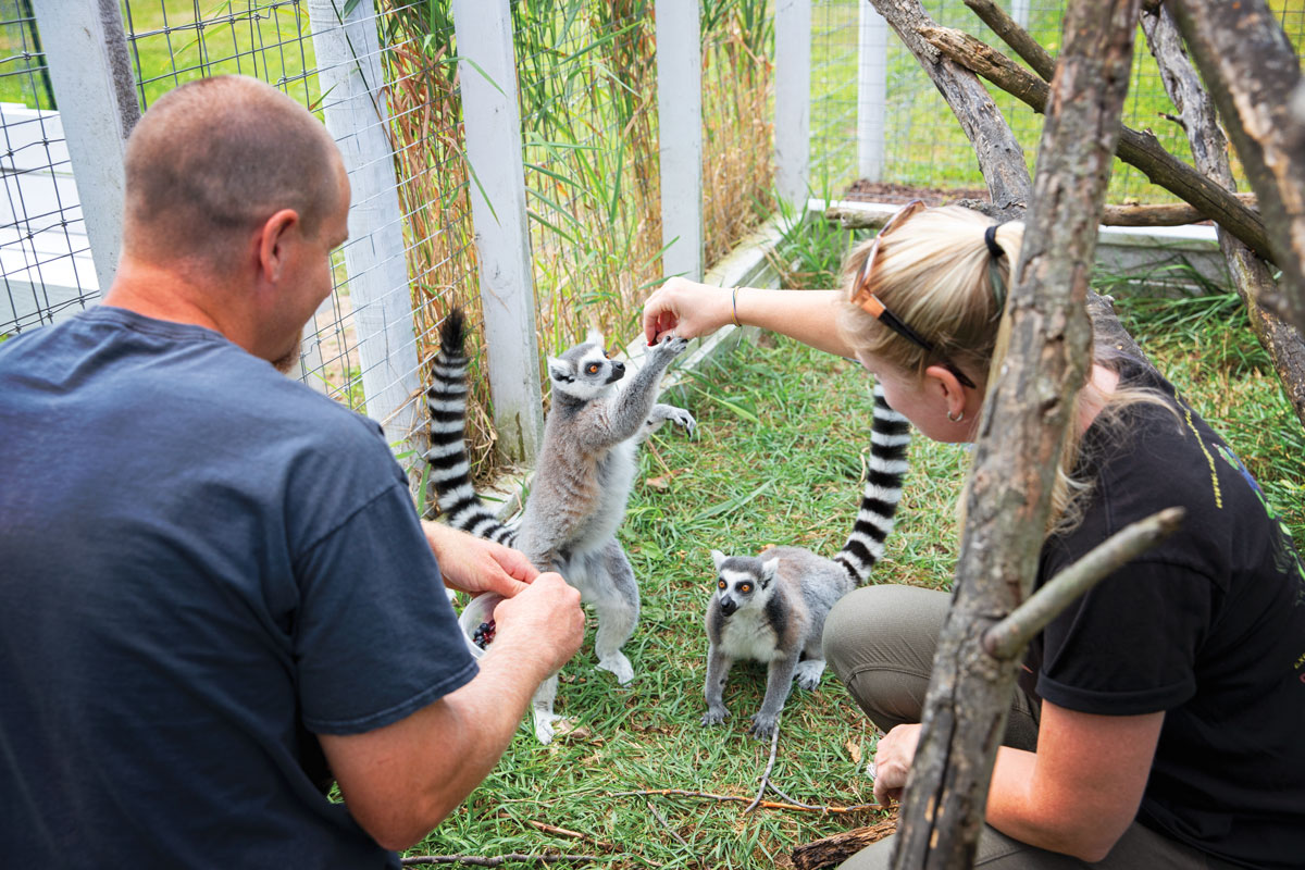 supesjungle-092020-08