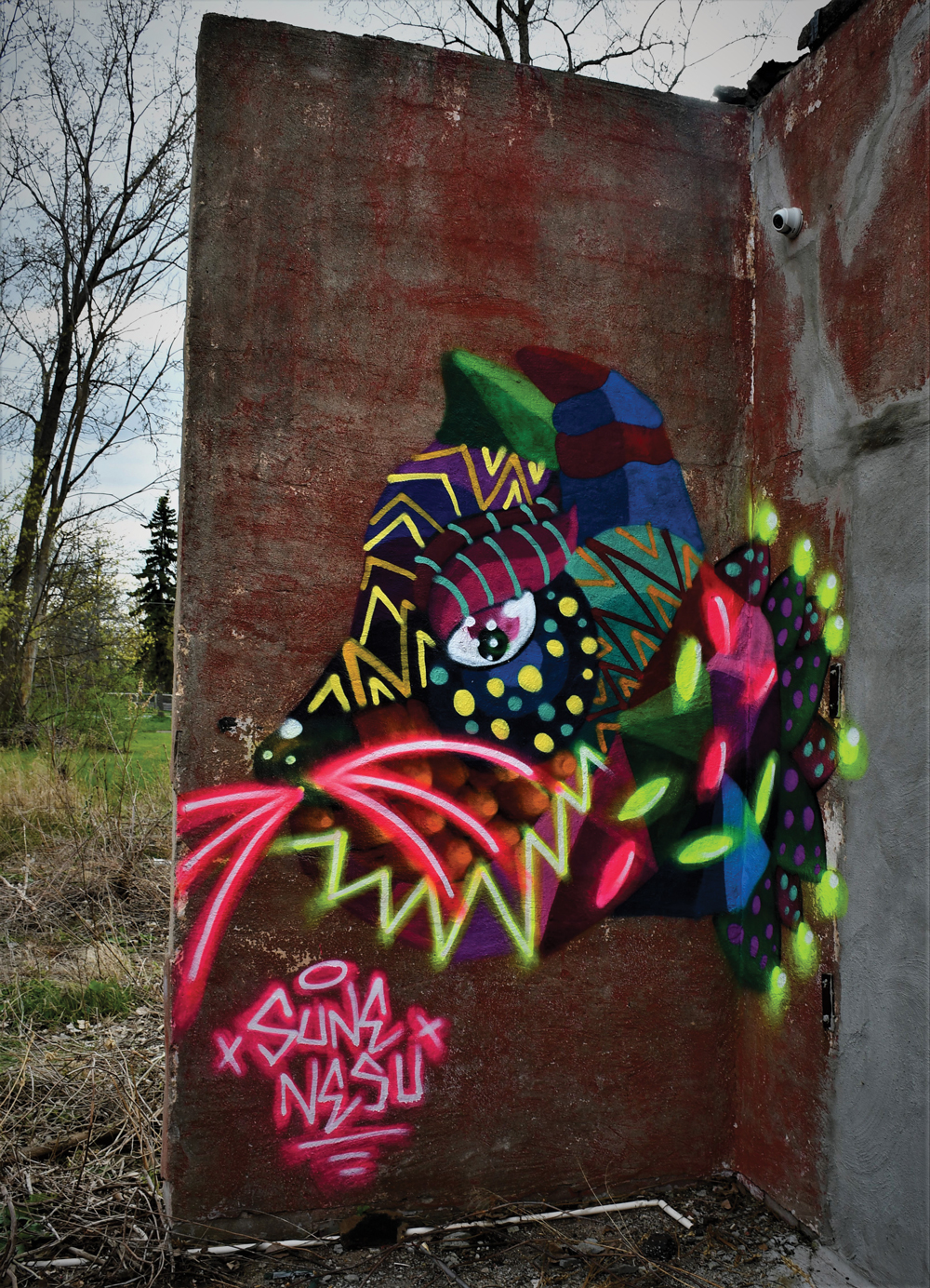 murals-072021-Sune-Nesu-2