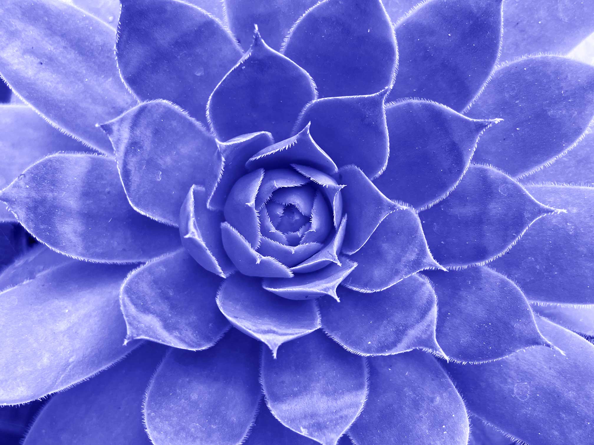 HG-Pantone2022042022-01 (8)