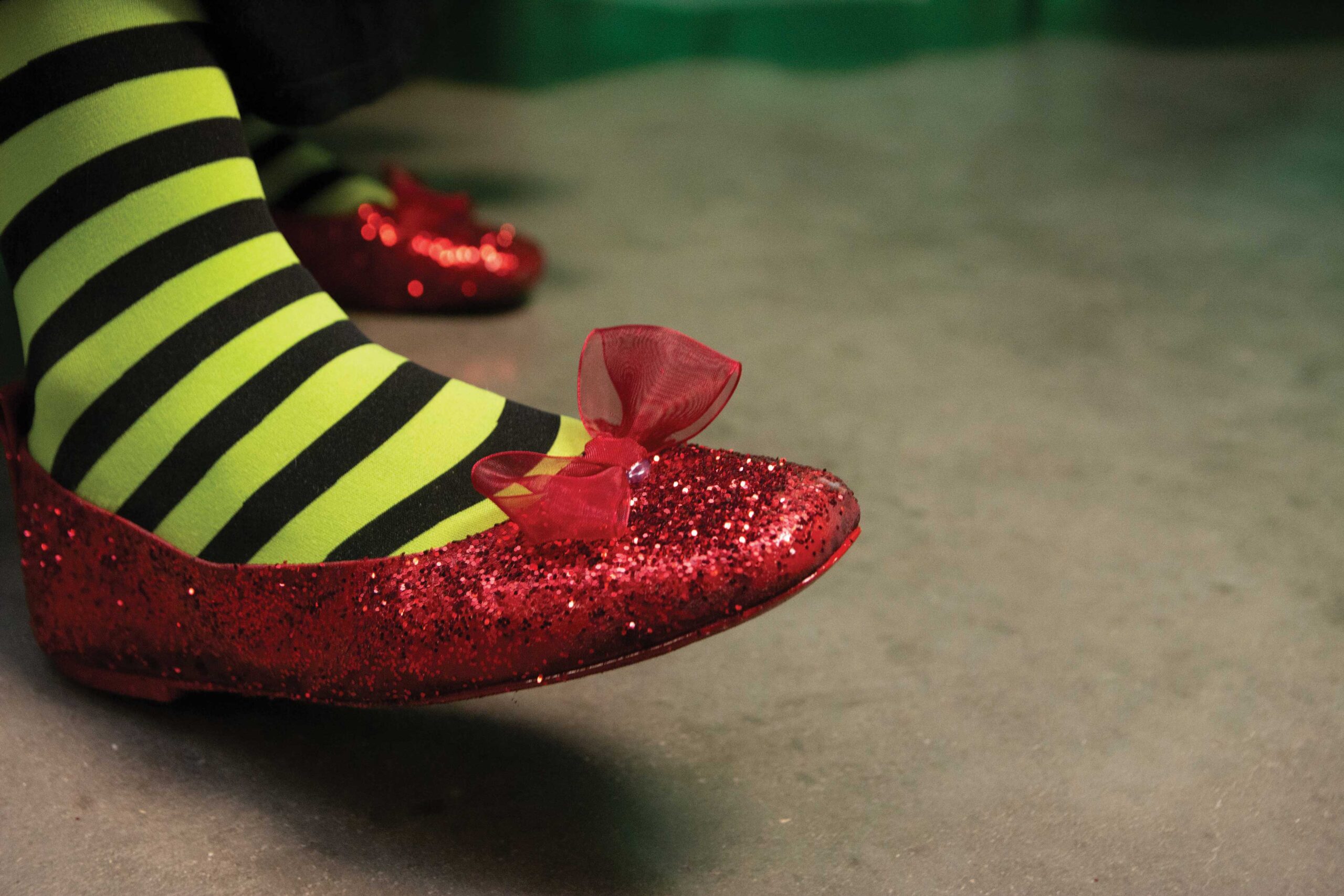 Haps WagsWhiskers-2022- (30)