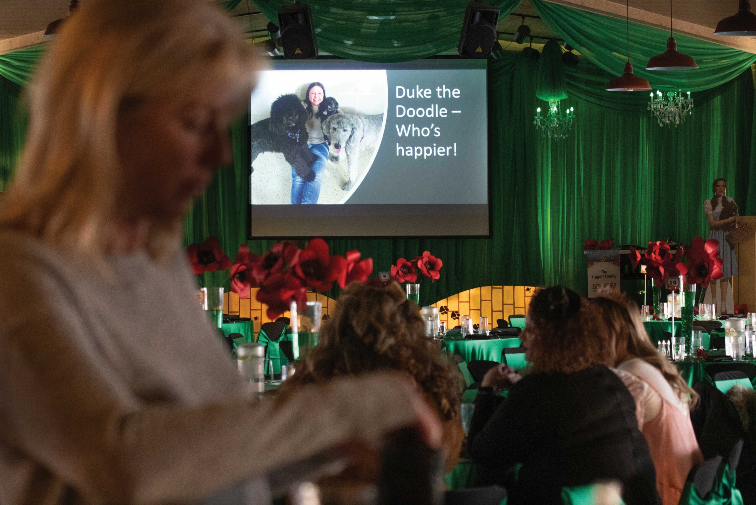 Haps WagsWhiskers-2022- (6)