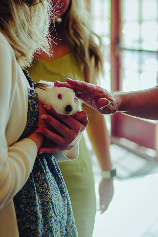 Haps-pawsonparade2022 (14)