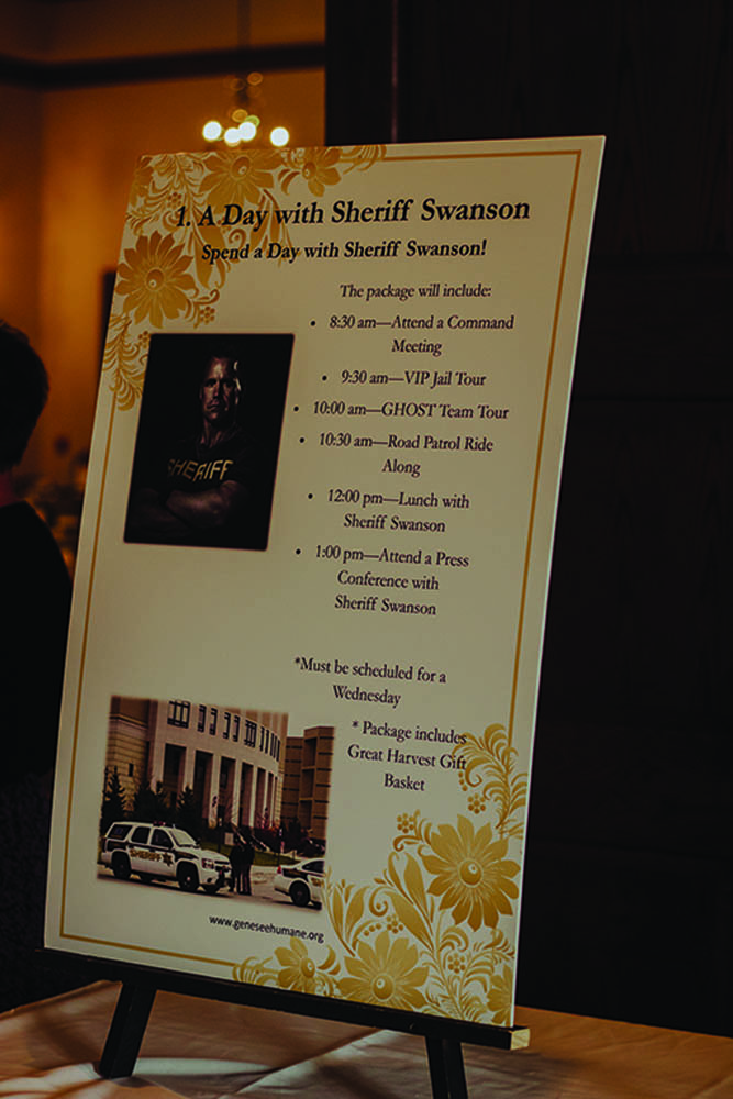 Haps-pawsonparade2022 (3)