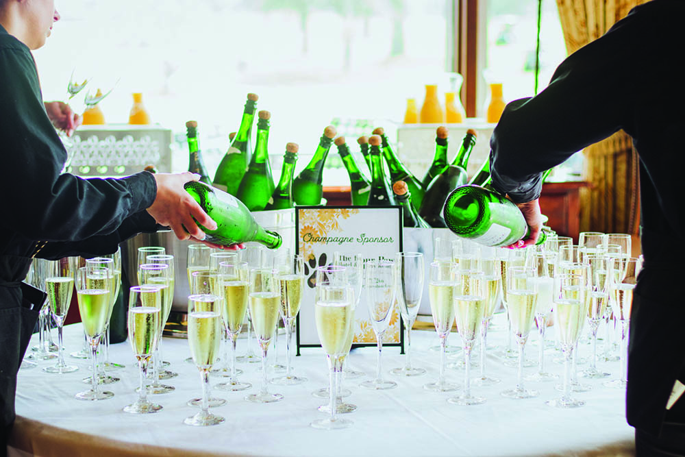 Haps-pawsonparade2022 (6)