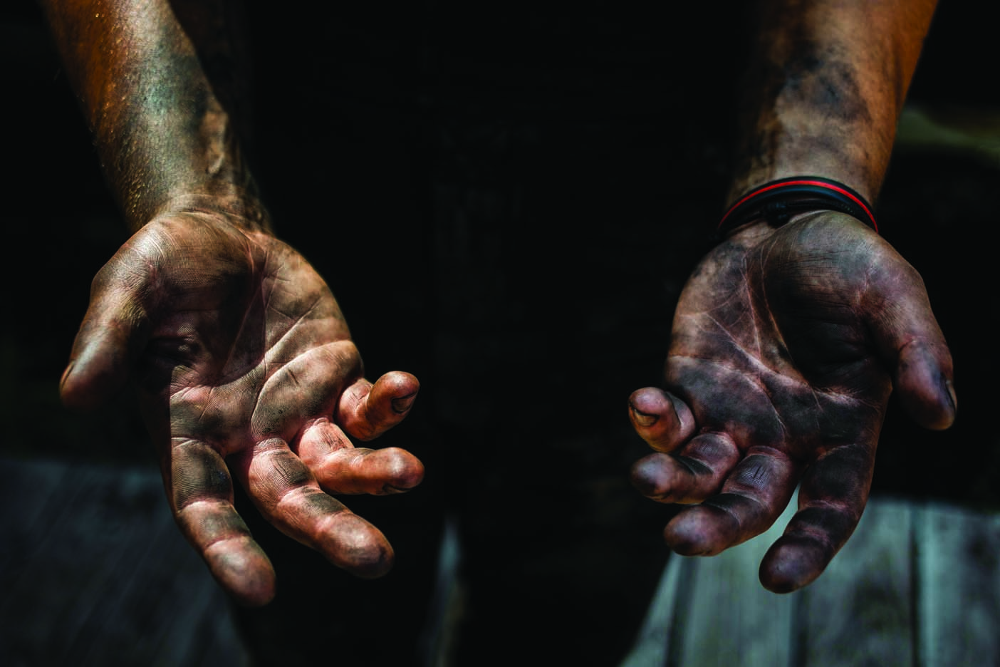 huckleberry-082022-0 (4)