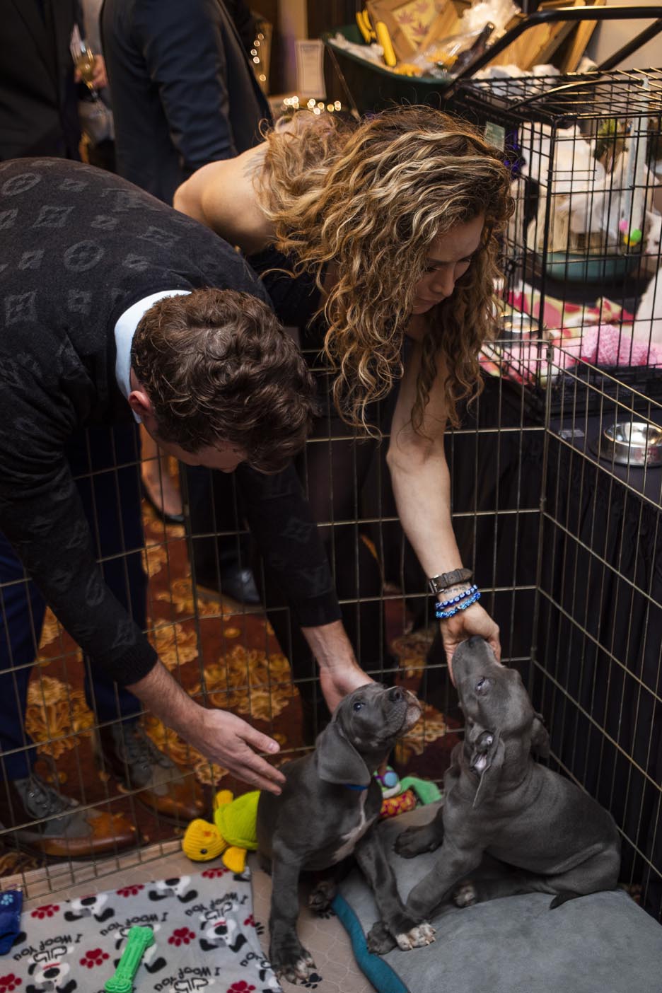 Haps-Ties-and-Tails-12-2022-web-0 (20)