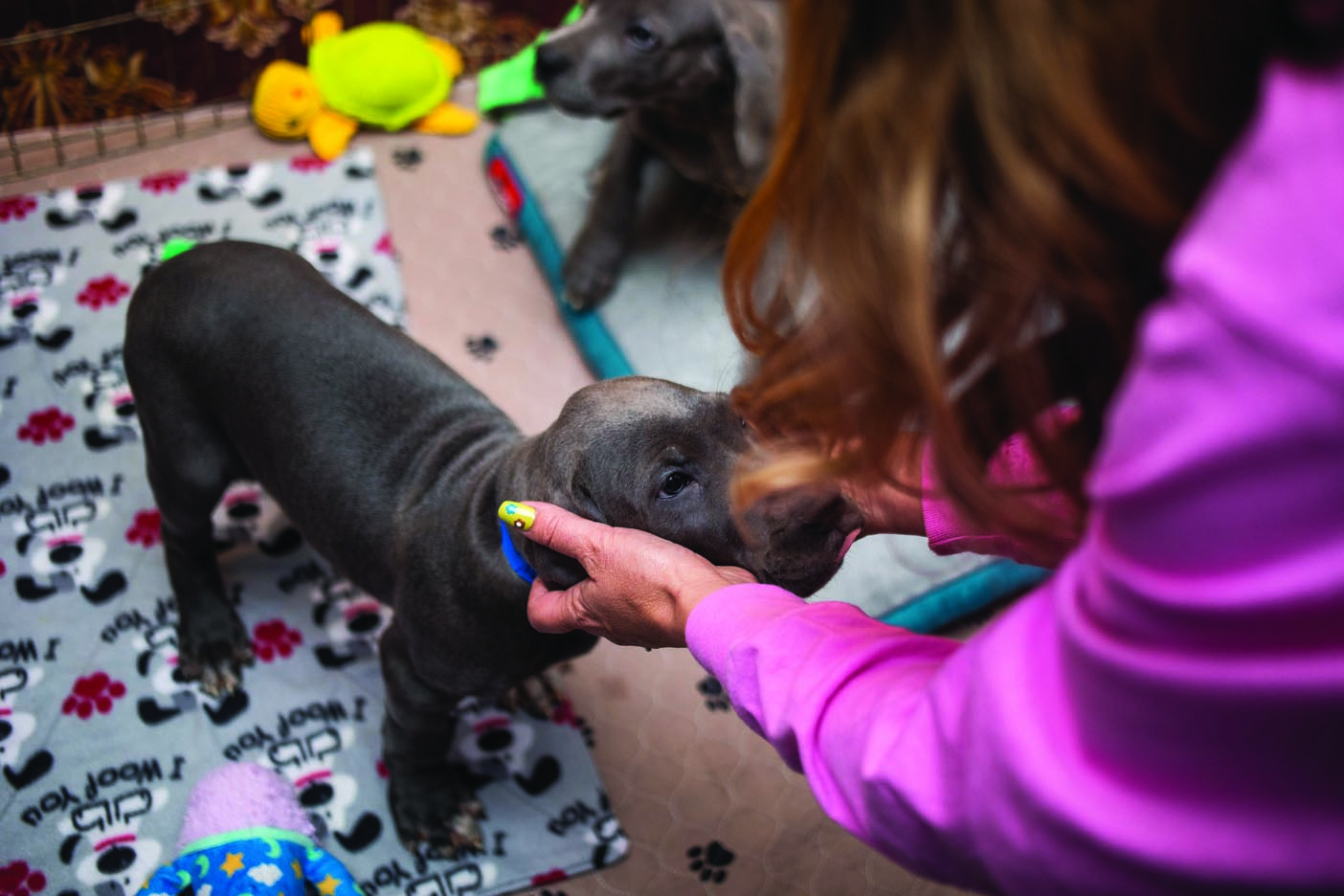 Haps-Ties-and-Tails-12-2022-web-0 (21)