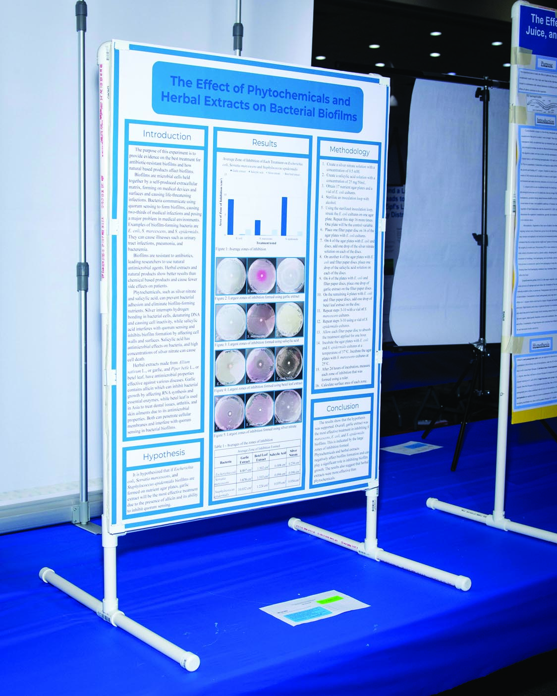 HAPs-ScienceFair-04-2023-web-0 (14)