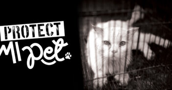 Protect MI Pet<span class="subtitle">Help End the Abuse</span>